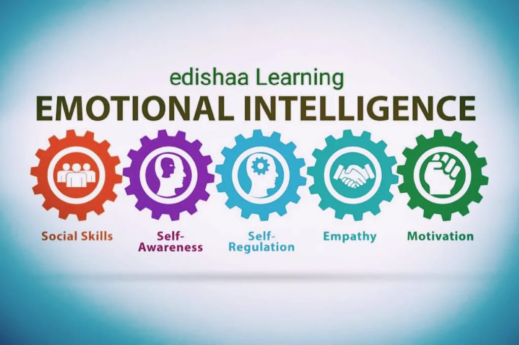 Learning Emotional Intelligence Program