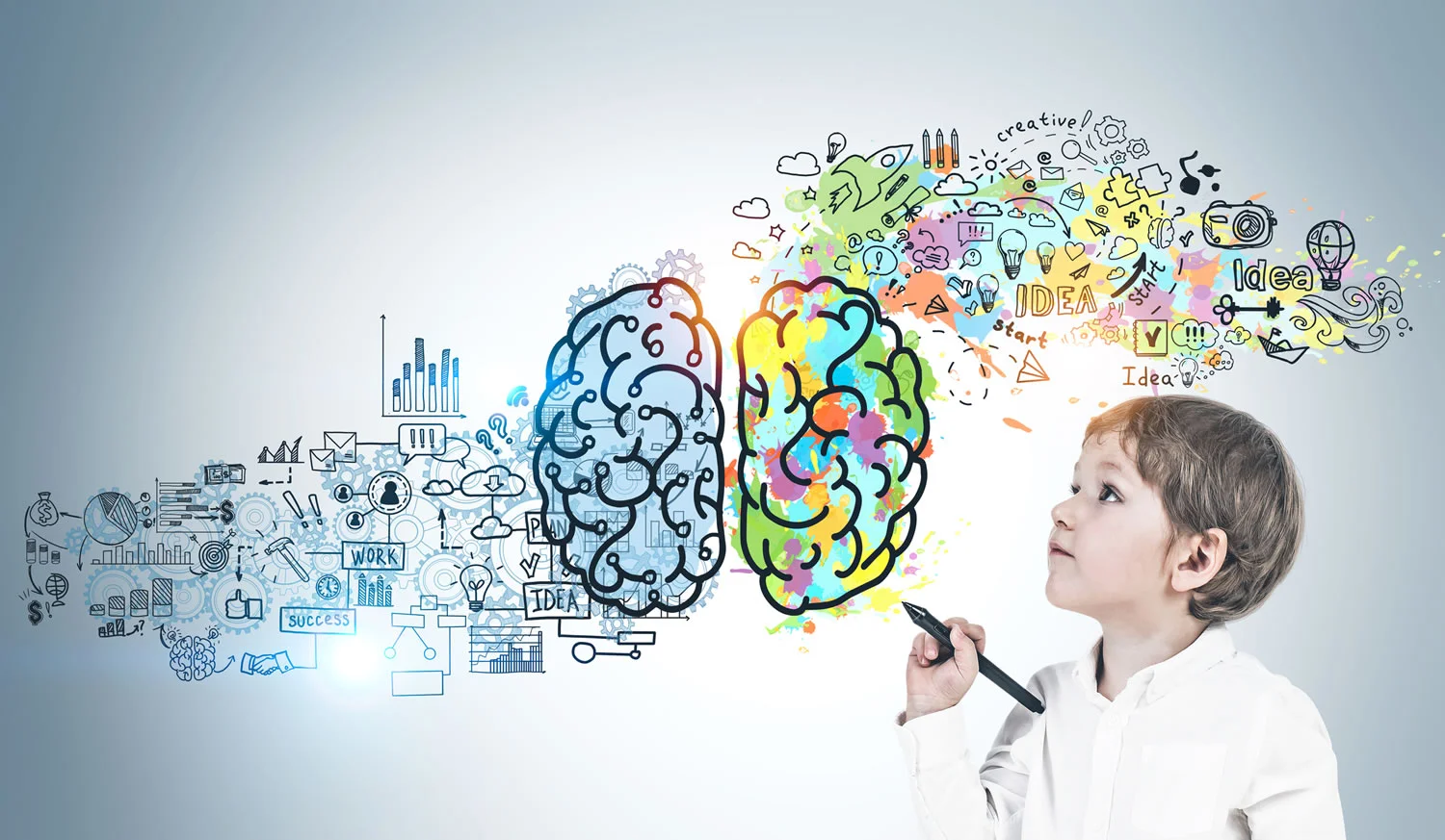 Mental Development program